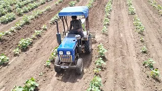 क्या गज़ब की स्पीड हैं 😯 || Swaraj 717 with heavy cultivator || #smartfarmer #newmodel2023