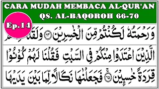 BELAJAR MENGAJI Pemula, Ep.14, QS. Albaqoroh 66-70 (Cara mudah belajar membaca Alquran dan tajwid)