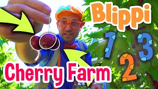 Blippi Visits a Cherry Farm | Songs for Kids | Learn with Blippi | Educational Videos for Kids