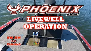 Phoenix Boats Livewells