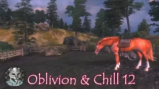 The Elder Scrolls: Oblivion & Chill 12: The Colors of Cyrodiil