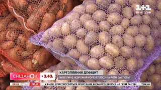 Україні може не вистачити картоплі: що кажуть фермери