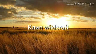 Клип wildcraft "улетай на крыльях ветра"