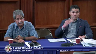 36th Guam Legislature FY2023 Budget Session - August 30, 2022 AM