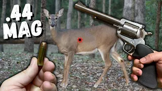 Last Chance: A Late Season Deer Hunt with My Trusty Ruger Blackhawk Pistol