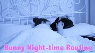 Bunny Night-time Routine