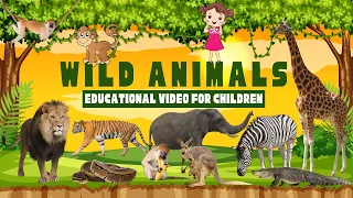 Learn Wild Animals | Exploring the Wild Animal Kingdom for Kids | Educational Video for Children