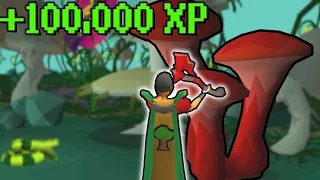 The best AFK woodcutting XP in OSRS | Sulliusceps guide
