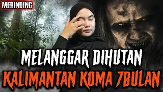 🔴 KALO MASIH PENGEN HIDUP JANGAN MACEM-MACEM DIHUTAN KALIMANTAN.!!