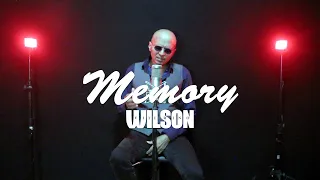 Memory - Barbra Streisand [Wilson Viturino]