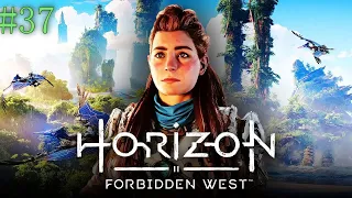 Horizon Forbidden West Complete Edition➤(ПК)➤МАКС СЛОЖНОСТЬ➤ПРОХОЖДЕНИЕ ИГРЫ➤#37
