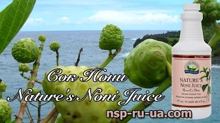 Сок Нони NSP из плодов моринды - отзывы, полезные свойства