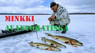 Hauen koukkukalastusta 5/ Pike Fishing In Lapland