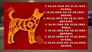 🐉Гороскоп на 2024 год для рожденных в год СОБАКИ, 1958, 1970, 1982, 1994, 2006 годов рождения.