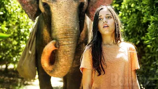 🔥 My Old Friend Elephant | Full Movie | Family