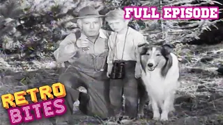 Lassie full episodes | Black Woods | 30 Minutes | Old Cartoons