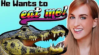 Irish Girl Tries Alligators & Airboat in the Everglades