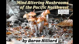 Mind Altering Mushrooms of the Pacific Northwest