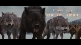 Twilight Wolves - For the Glory