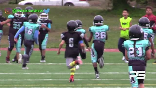 Seatac Sharks 8U vs. 253 Spartans Week 3 (Highlight Reel) 2019