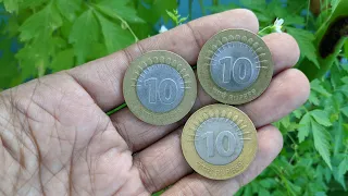 10 Rupees coin 15 lines || 10 रुपए के 15 लाइन वाले सिक्के कलेक्ट करने चाहिए ?