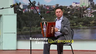 Владимир Евсеев Елецкая Рояльная гармонь