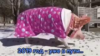 2019 год уже в пути