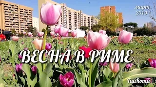 🔴Весна в Риме. Парк тюльпанов и замок Санта Севера, в котором живет призрак. Март 2019