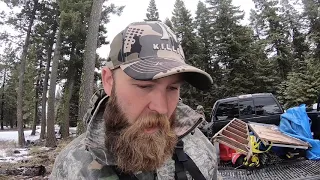 Idaho Bear Hunt Finale