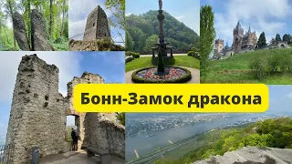 Бонн/ Отправляемся на экскурсию/ Руины крепости/ Очень красивый Замок дракона/  Природа другая