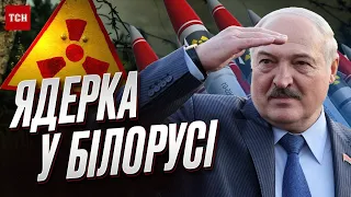 🪲 Лукашенко - васальний генерал, який б’ється за своє життя | Петро Черник