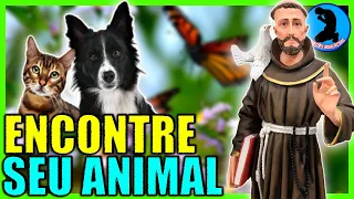 💙 STRONG PRAYER OF SAINT FRANCIS OF ASSISI TO FIND LOST ANIMALS 💙 (MIRACLE PRAYERS)