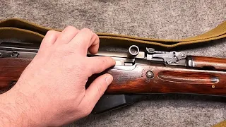 The Big SKS Carbine Video (History, Variants, Military Service & More)