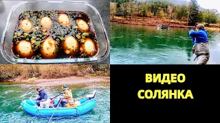 ВИДЕО - СОЛЯНКА. ПРО РЫБАЛКУ И НЕ ТОЛЬКО. РЕЦЕПТ "ЯЙЦА ПО КОРЕЙСКИ". СЛЕДЫ ПУМЫ.