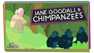 Into the Forest with Jane Goodall!