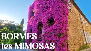 4K/🇫🇷 BORMES-Les-MIMOSAS, one of the most beautiful flower villages in South  France