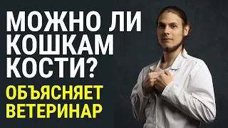 Можно ли кошкам кости? Давайте узнаем правду. Объясняет ветеринар Дмитрий Русаков.