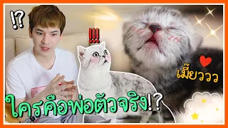 ใครคือพ่อตัวจริงของลูกแมวกันแน่!? | ติดเต๋า