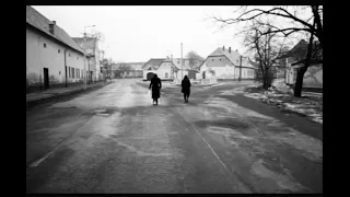 Werckmeister Harmonies  (2000) by Béla Tarr, Clip: János and  György go for a walk...