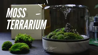 MOSS TERRARIUM setup NEW Botanica Boutique Sanctuary M Carrara