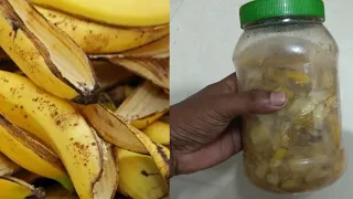 You will never throw away banana peels after watching this