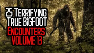 25 Terrifying True BIGFOOT Encounters | VOLUME 13