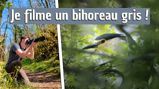 J'OBSERVE UN RENARD ? - Balade dans une héronnière et relevé du piège photo !