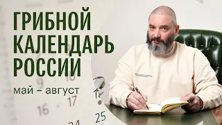 Для новичков: грибной календарь России с конца мая по начало августа. Михаил Вишневский