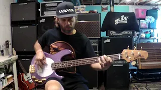 Pretty as You Please - Cry of Love (Robert Kearns) bass cover