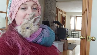 Just working with a Bunny