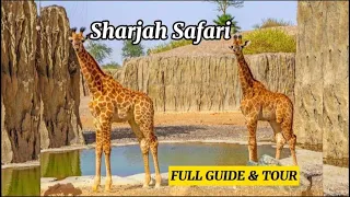 Sharjah Safari Park | Bronze, Silver & VIP | FULL Experience | From only AED 40 😁 | MUST SEE 🦌🐐🦒🦏🦩🦆🐦