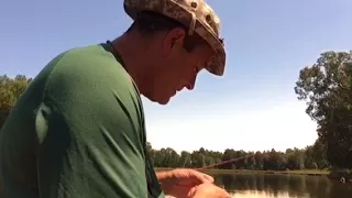 Solar Eclipse - FISHING