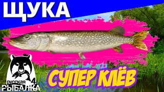 ЩУКА ► СУПЕР КЛЁВ ► РУССКАЯ РЫБАЛКА 4 ► ФАРМ 🔴 Russian Fishing 4 🔴 РР4 RF4