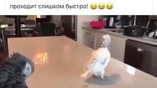 Никогда не унывайте!